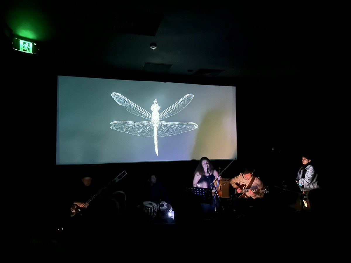 Poland in Australia tweet media