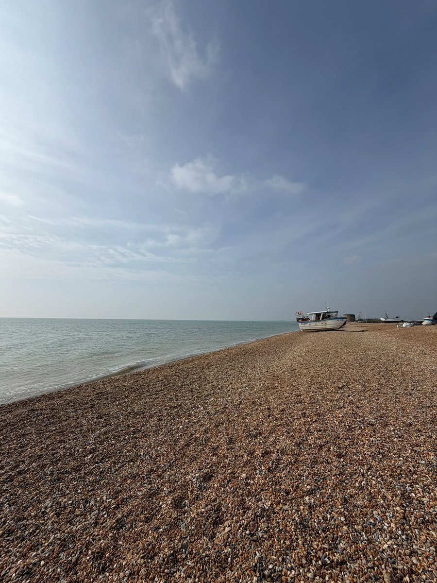 Holly 🐚🧜‍♀️☀️ tweet media