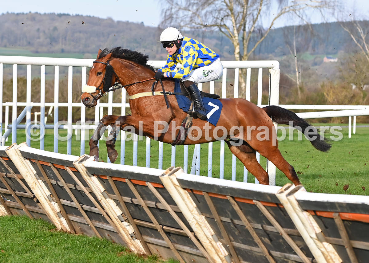 OfficialPhotographers tweet media