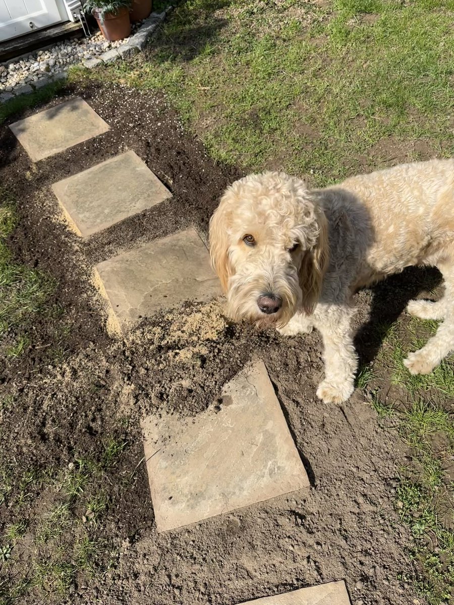 Patricia Weiss Autorin tweet media