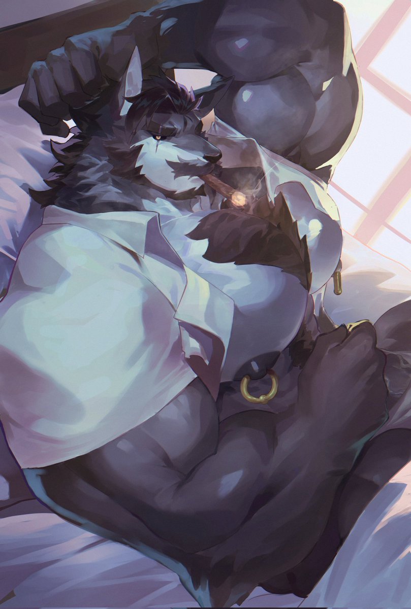 linfeng林枫 tweet media