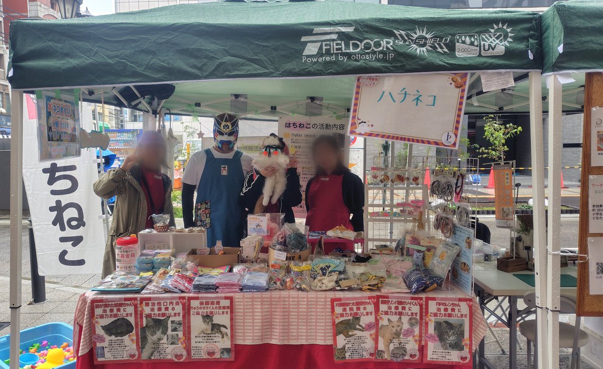 明日はイベント出店。
先週はイヌだったが今週はネコです。
#IL_BRAVES