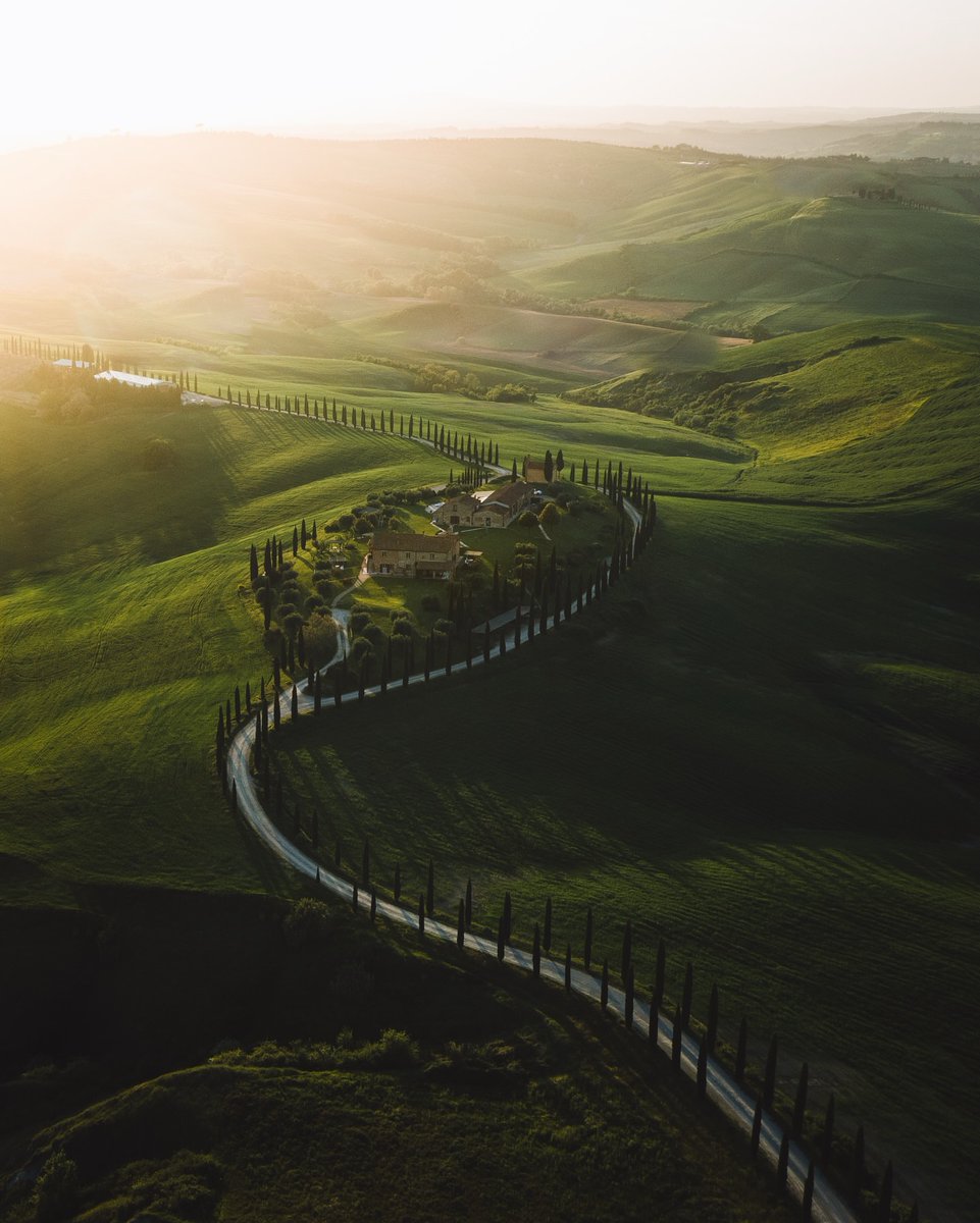 The World tweet media