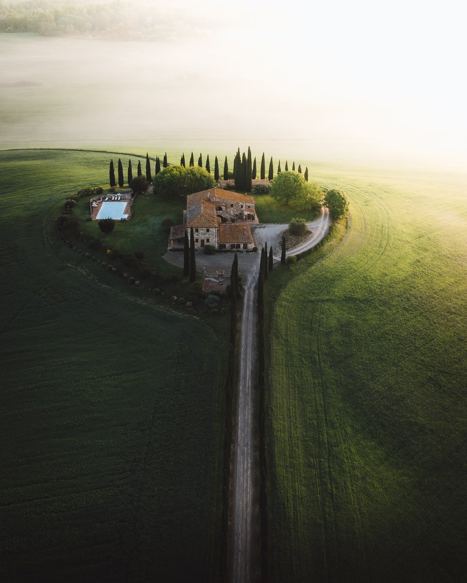 The World tweet media