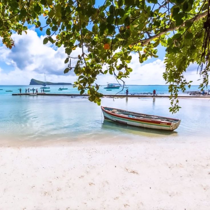 Mauritius Island tweet media