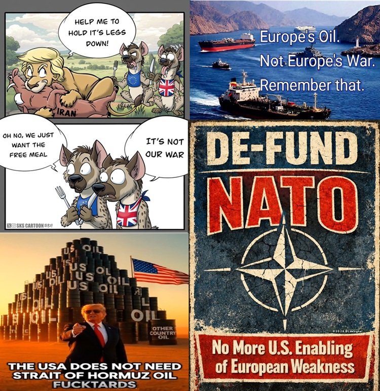 RogueSailor tweet media