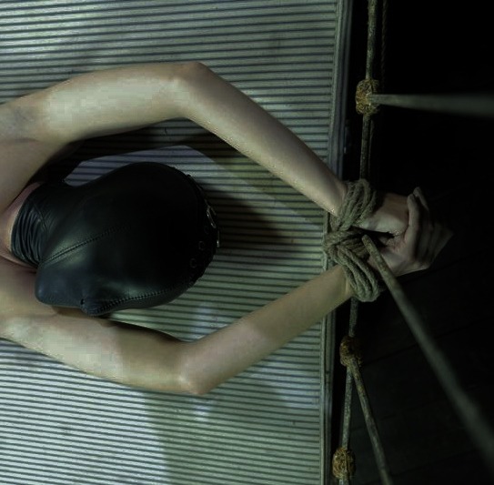 𝕊𝕔𝕙𝕒𝕕𝕖𝕟𝕗𝕣𝕖𝕦𝕕𝕖 𝔻𝕠𝕝𝕝 tweet media