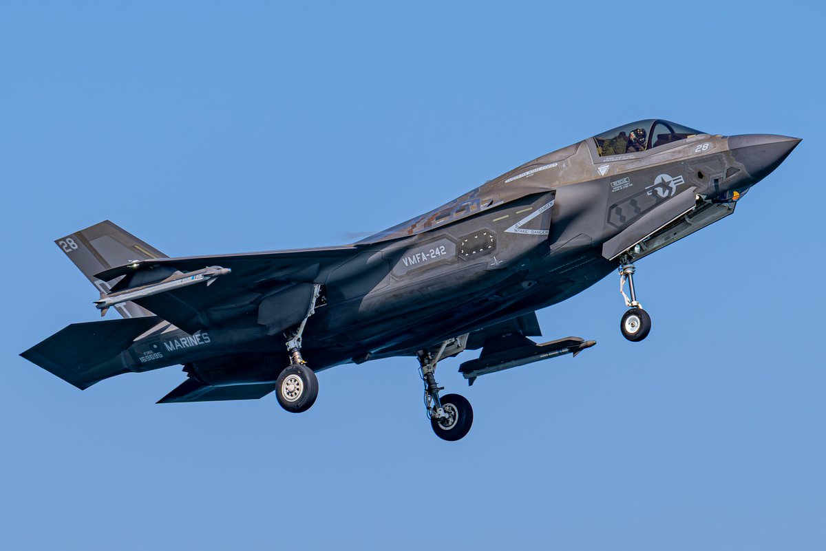 カリス（は湯たんぽ使用中？） tweet media