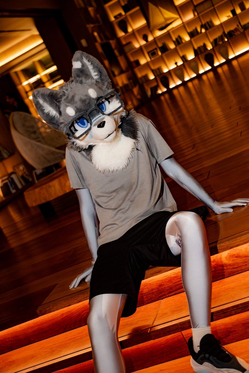 塔可洛/タコロ🐶 ➡️ UTFG2026 tweet media