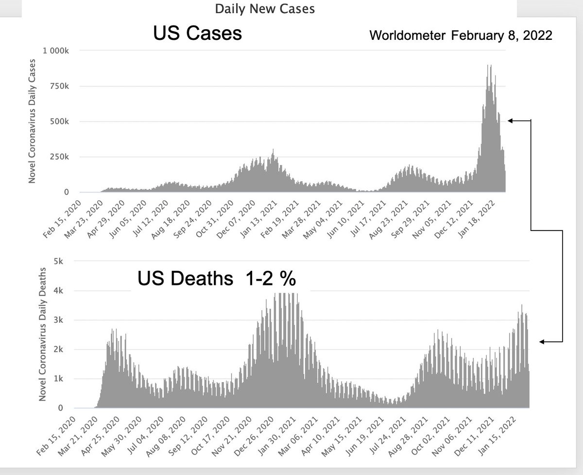 Dr. Rachel Roper tweet media