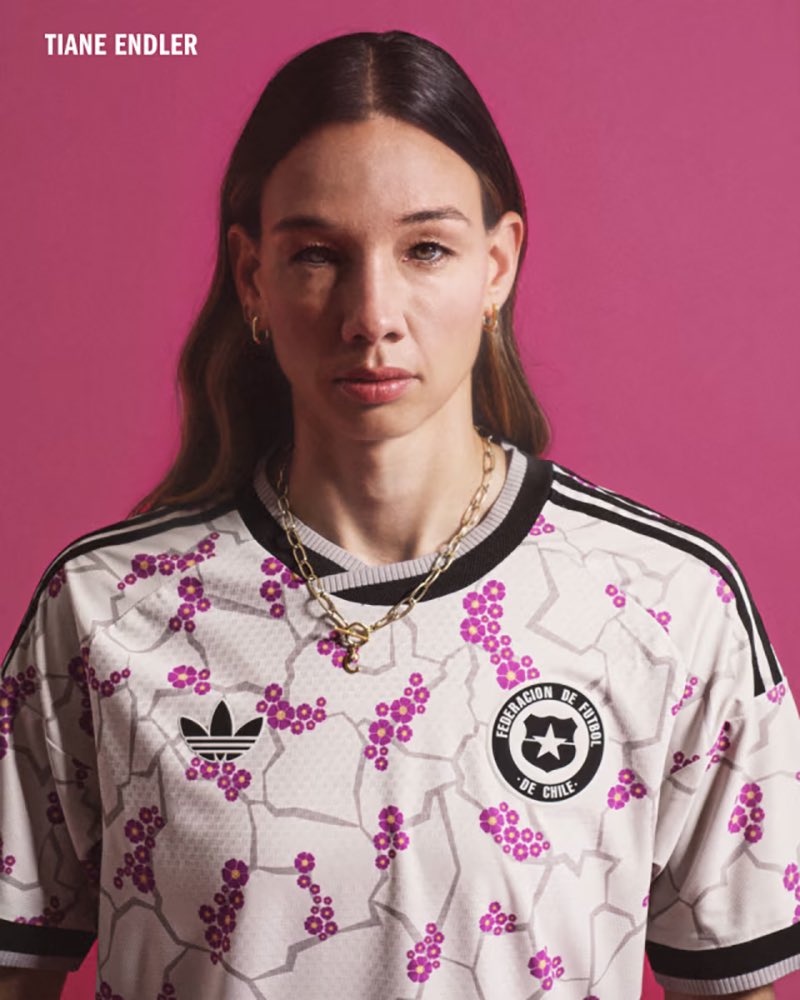 esvaphane tweet media