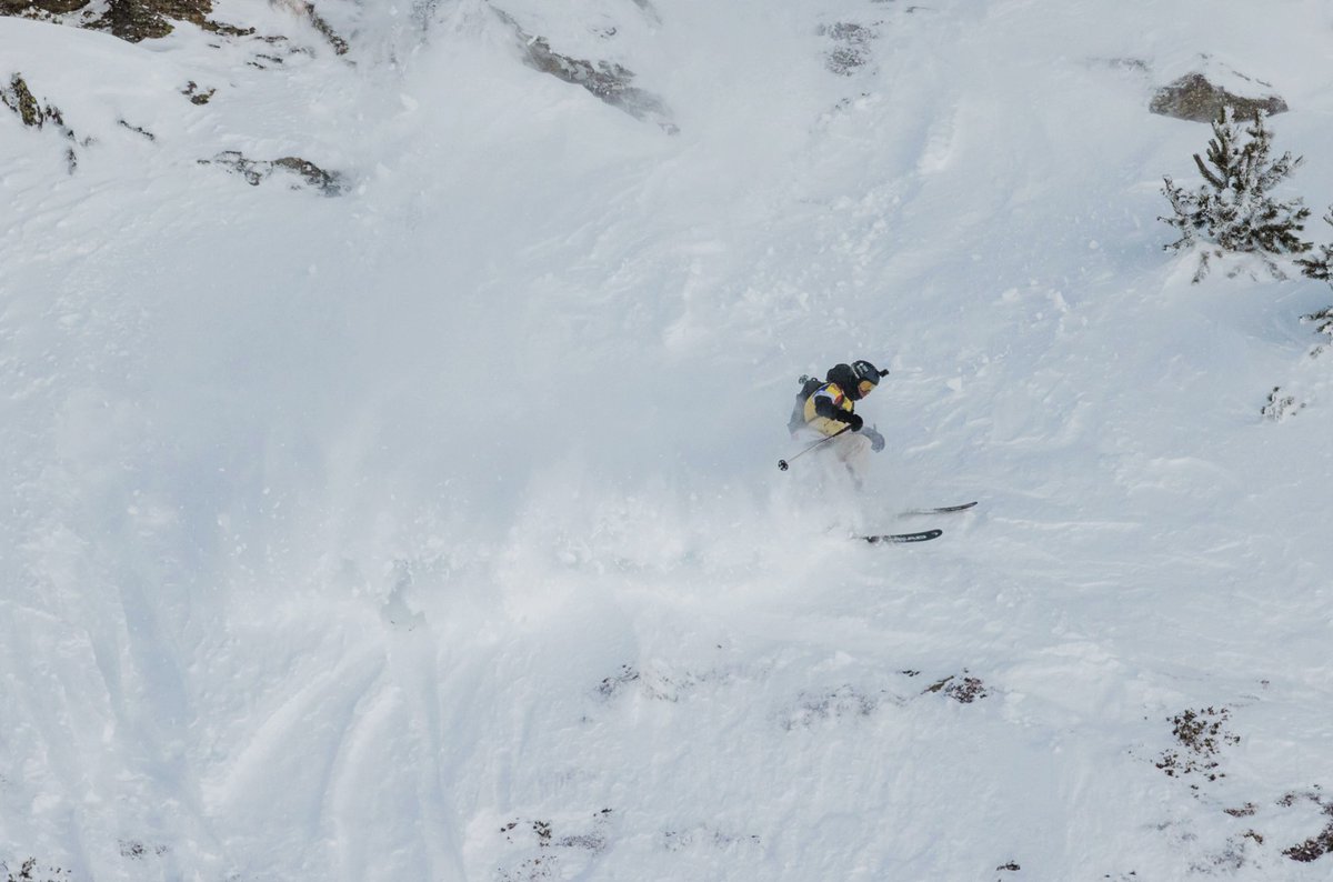 laneualdia tweet media