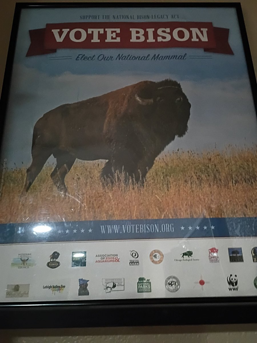 BuffaloRon tweet media