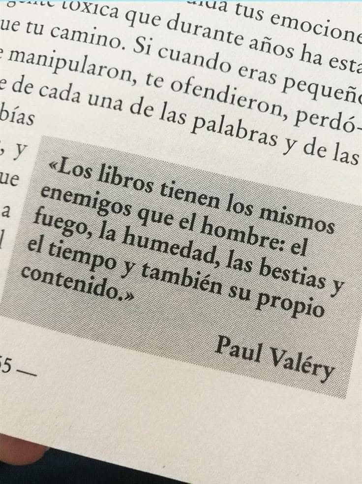 Amor por los libros tweet media
