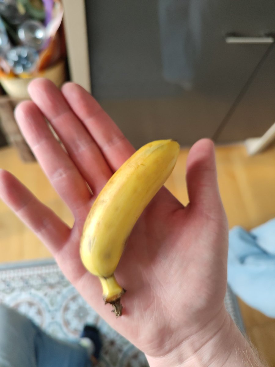 Tommys räudiger Ranzaccount tweet media