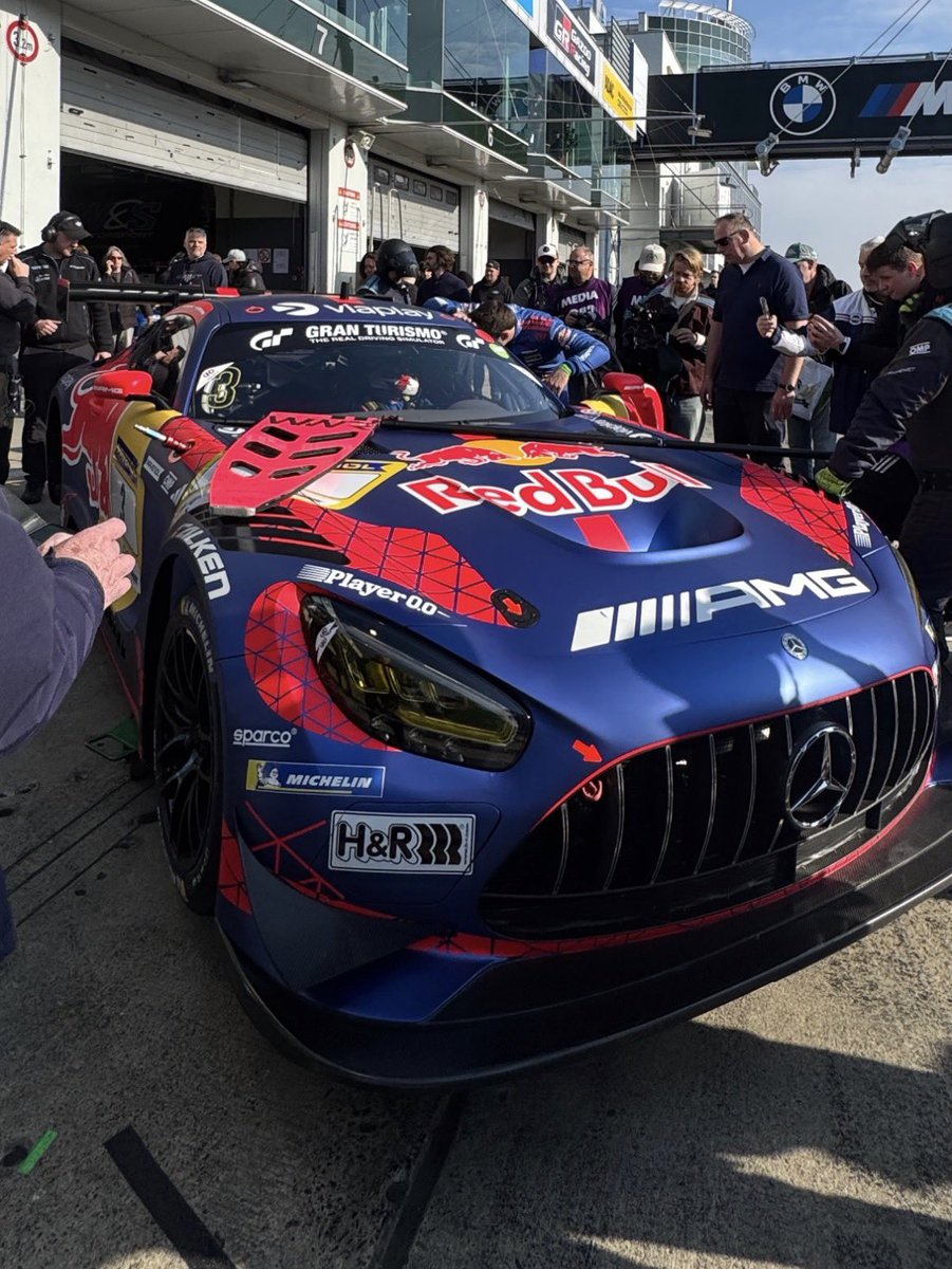 Ana 🦁 tweet media