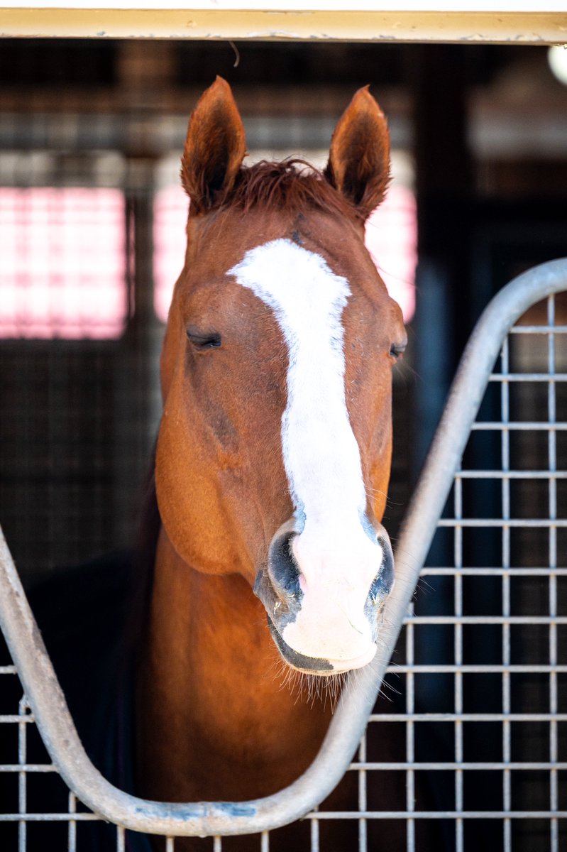 まりっぺ@うま tweet media