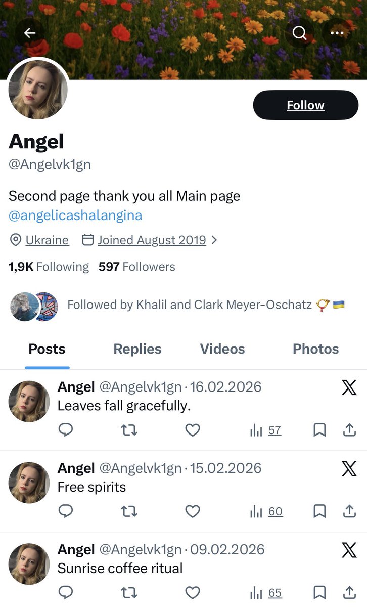 Angelica Shalagina🇺🇦 tweet media