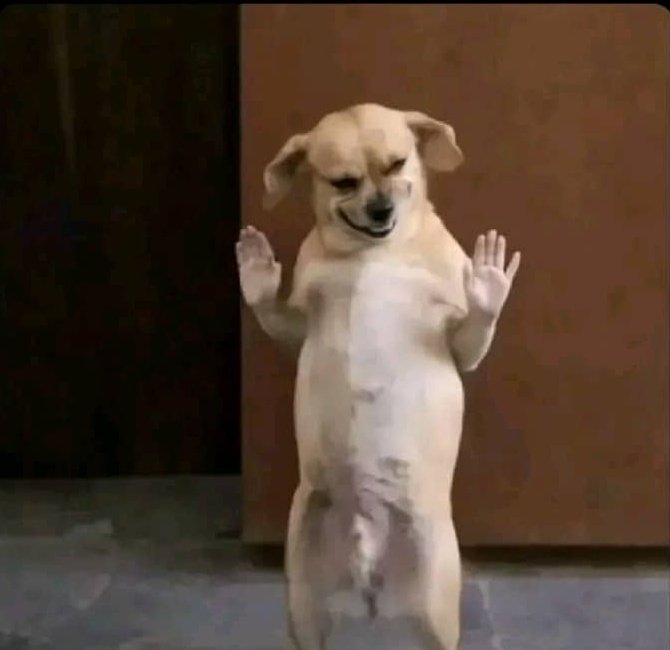 When HIV enters a body and the person dies the next day. 

Hiv: