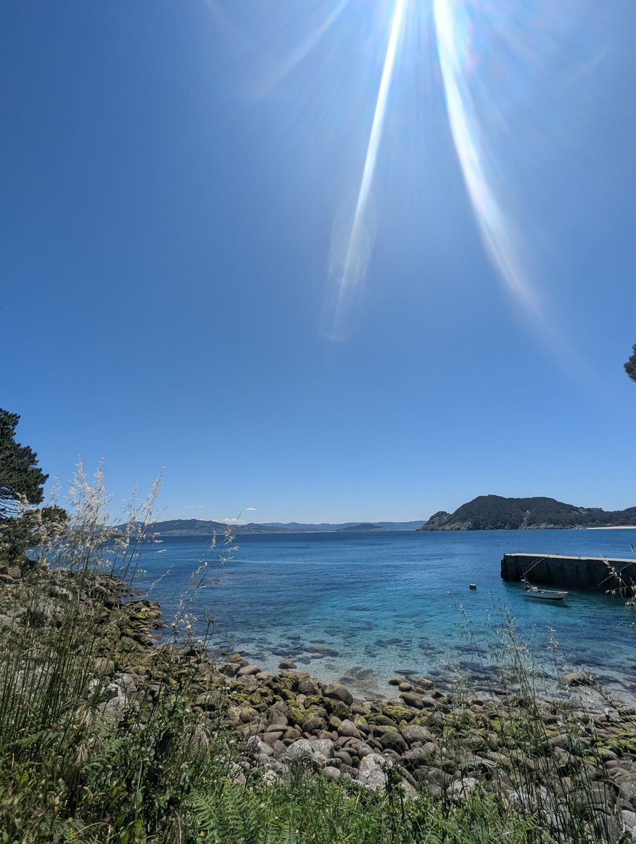 @DS_HT50 tweet media