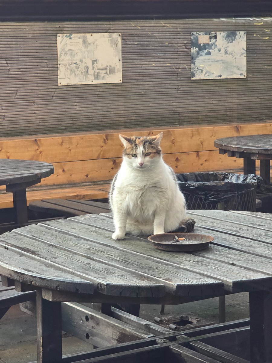 Publican Enemy //Colm Dalton tweet media