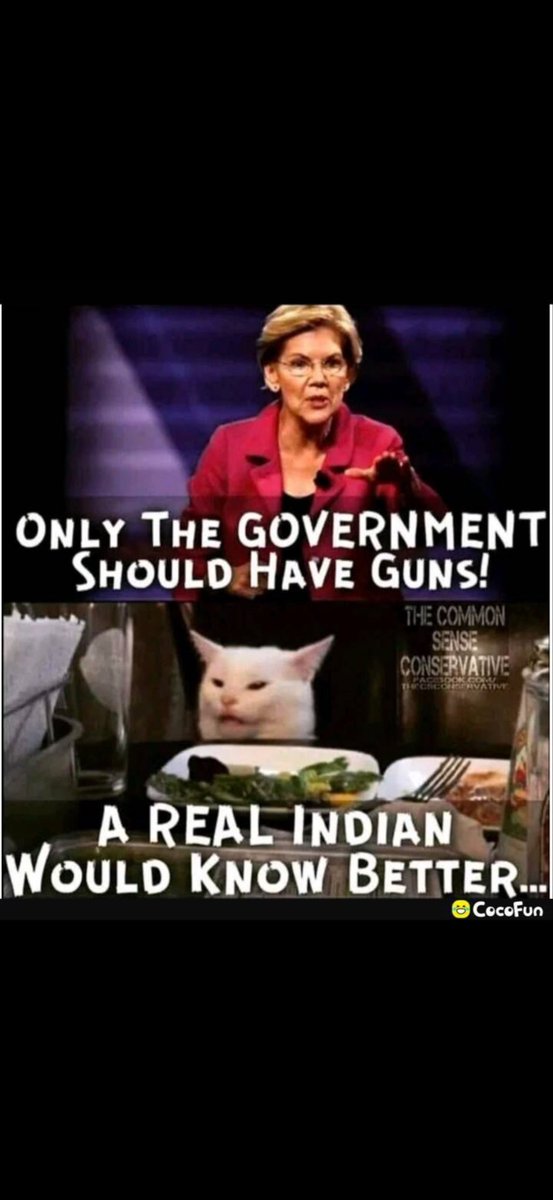 Primrose tweet media