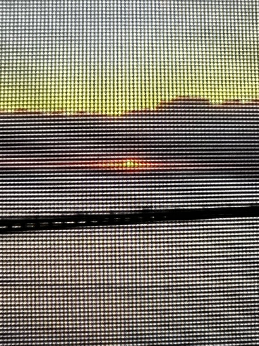 布施琳太郎 tweet media