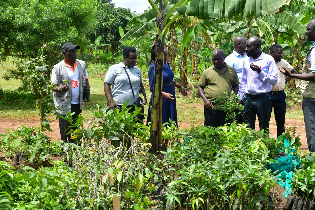 Uganda Climate Smart Agric Transformation Project tweet media