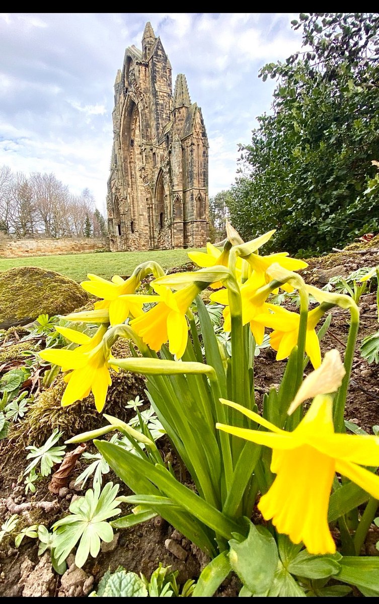 TravelRN4U's tweet photo. Happy Spring 💐☀️
#SpringEquinox
#LoveSpring
#VernalEquinox
❤️🦋🌸🌼🐝🪻🧚♀️💜 https://t.co/LpmwJLzvIV