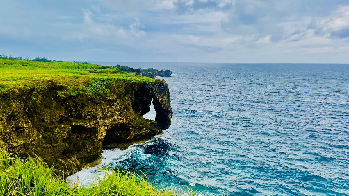 自動人形 tweet media