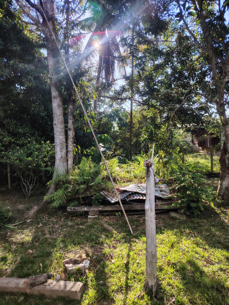 purplenightshade tweet media