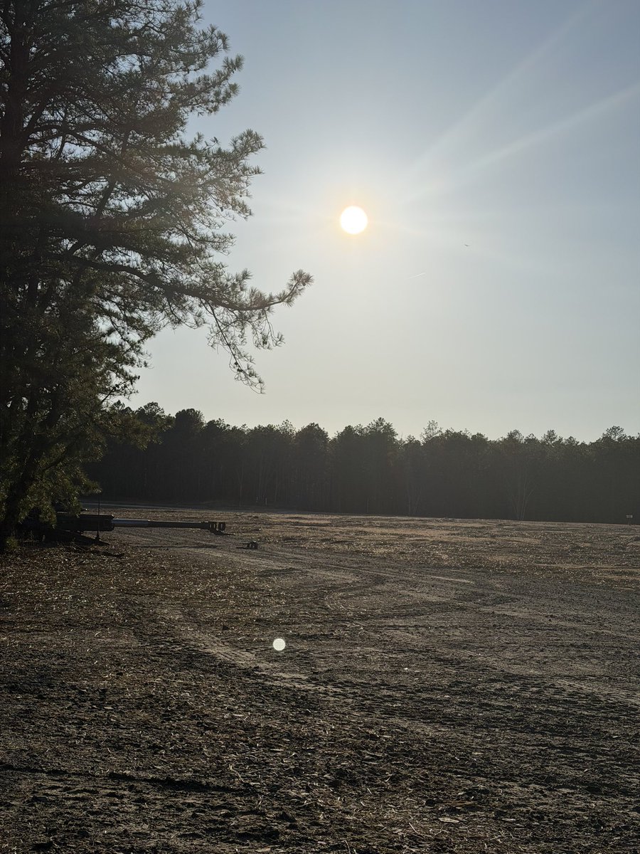 Grant Broggi tweet media