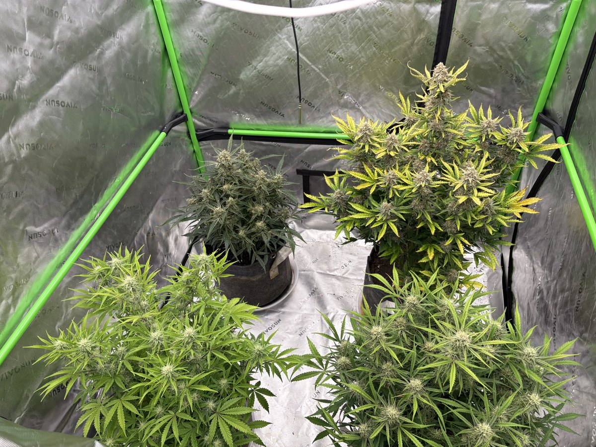 Ohio Grows Organic tweet media