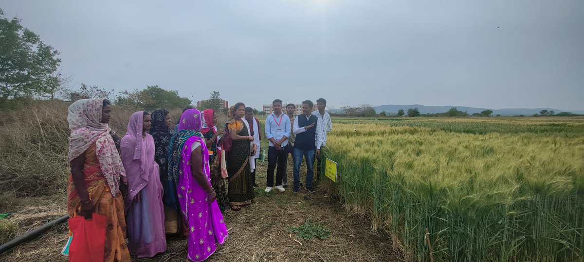 KVK, Anuppur tweet media