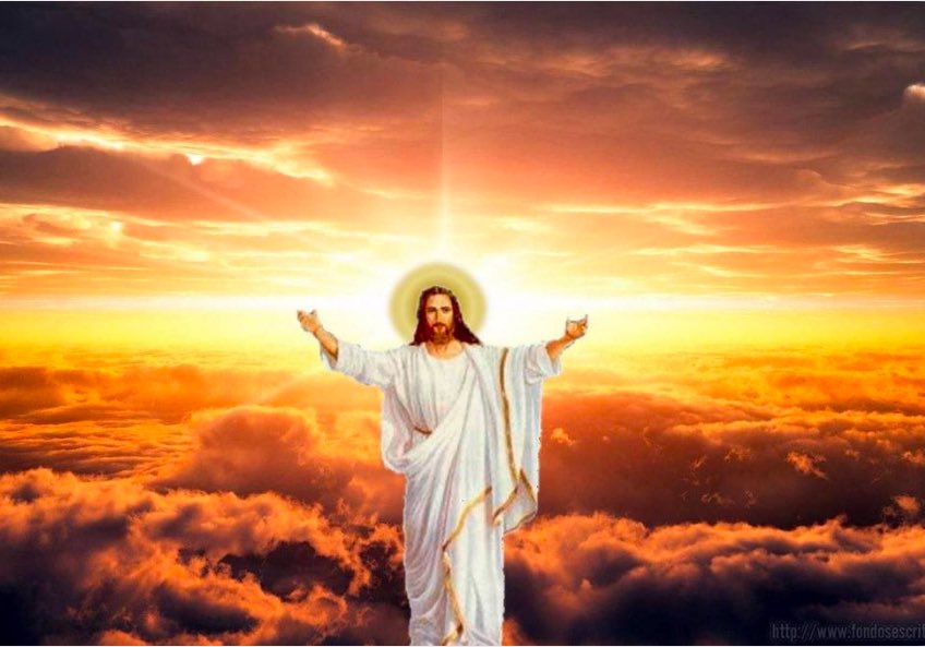 JokesNoBulletsJohnnyT tweet media