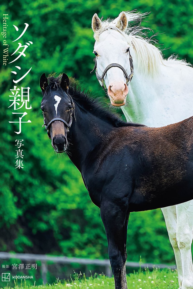 【公式】ソダシ親子写真集 tweet media