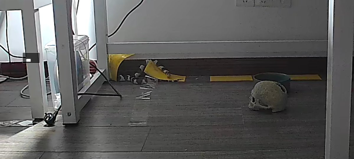 SWAYBAT🔞 tweet media