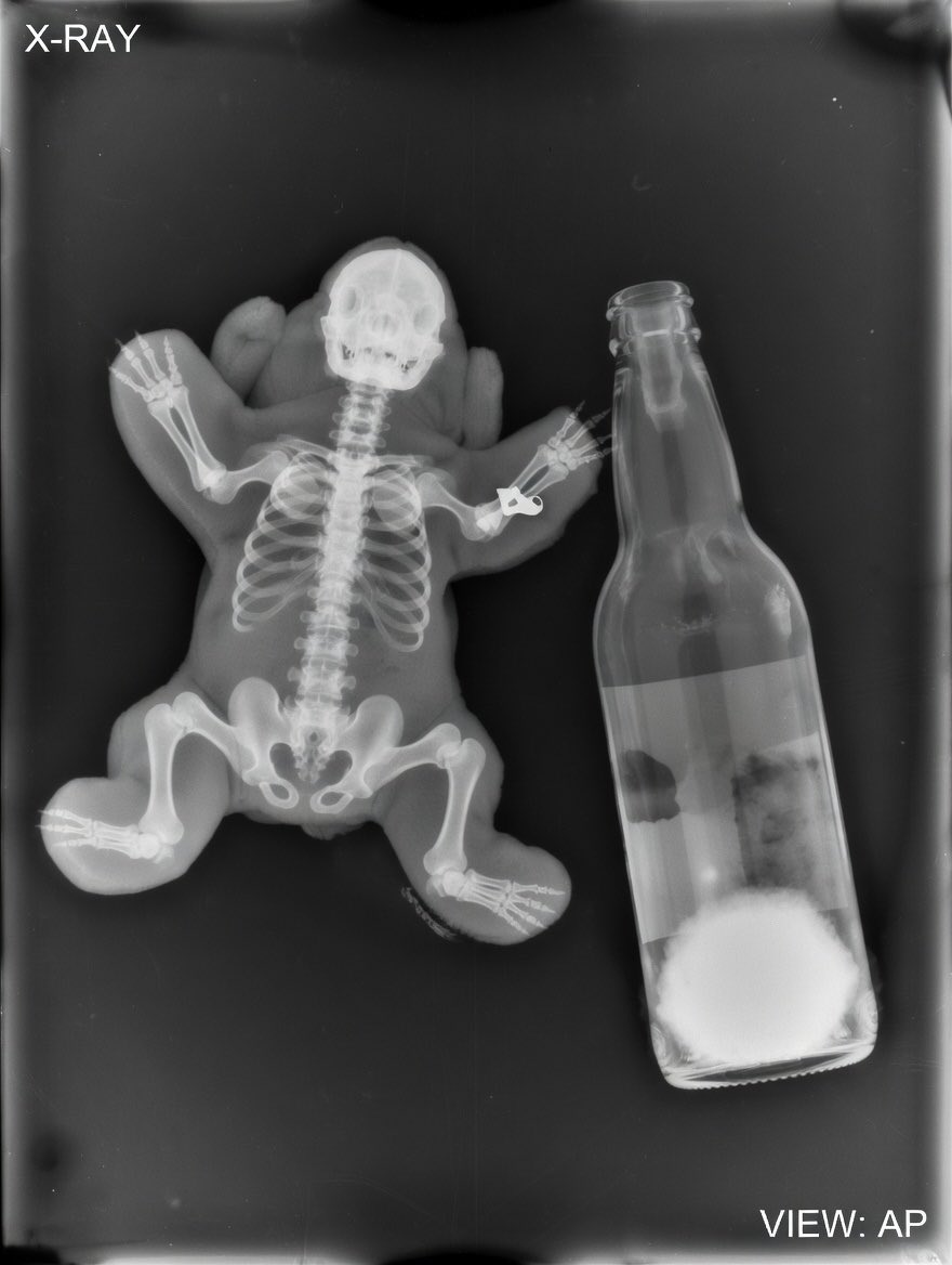 Mav Project Deaf Advocacy tweet media