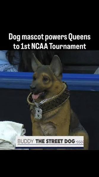 Nick Carboni tweet media