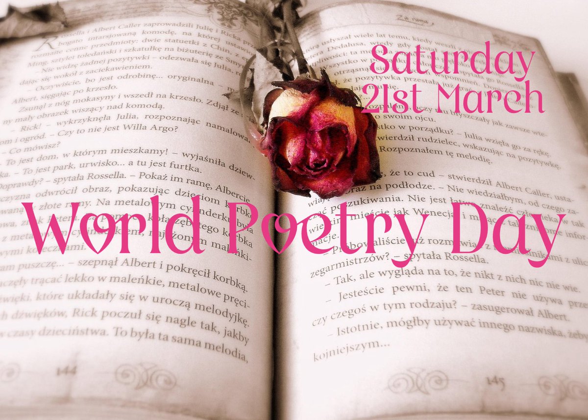 Green Cat Books ~ publisher | bookshop | mentor tweet media