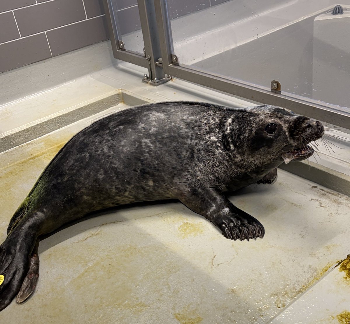 vanessa. tweet media