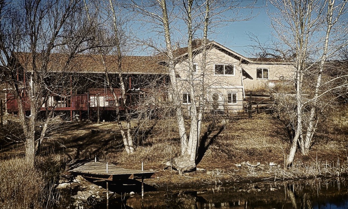 subwxxf 🏴‍☠️ tweet media