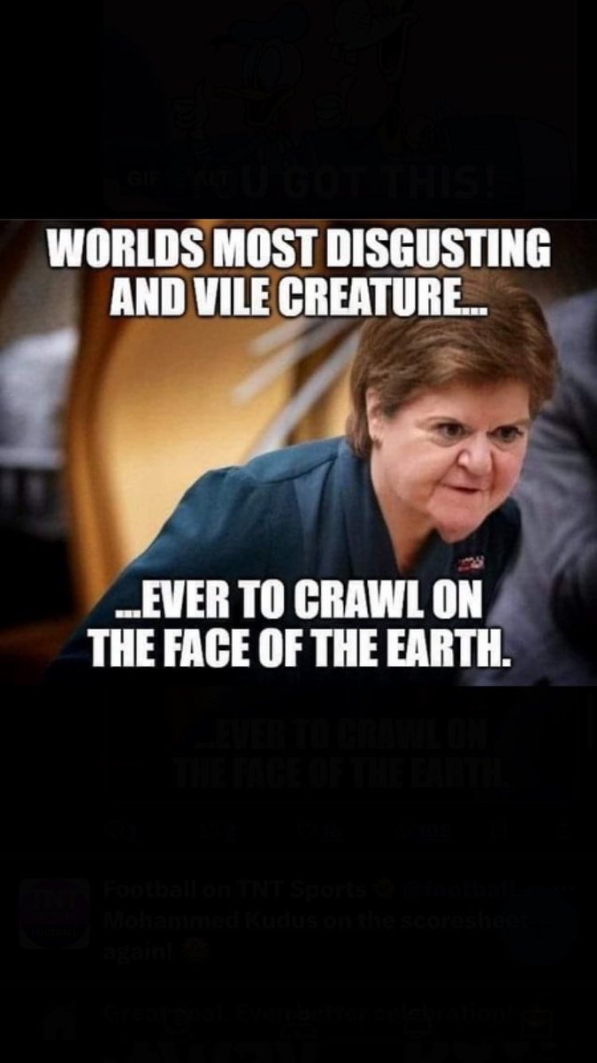 Robert Halbert tweet media