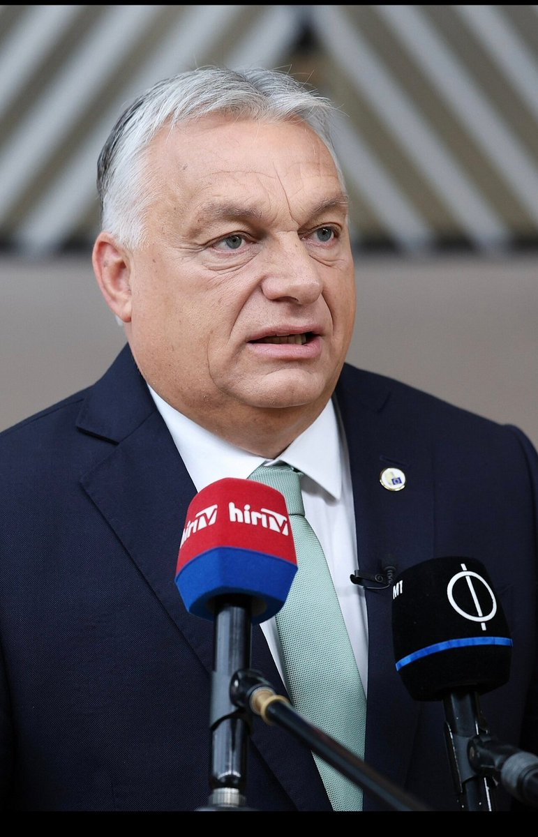 Joerg24 🔴🔴 🪠#afdverbot R.I.P Doc tweet media