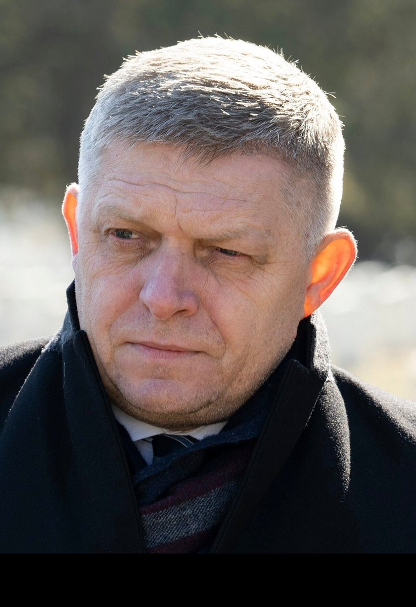 Joerg24 🔴🔴 🪠#afdverbot R.I.P Doc tweet media