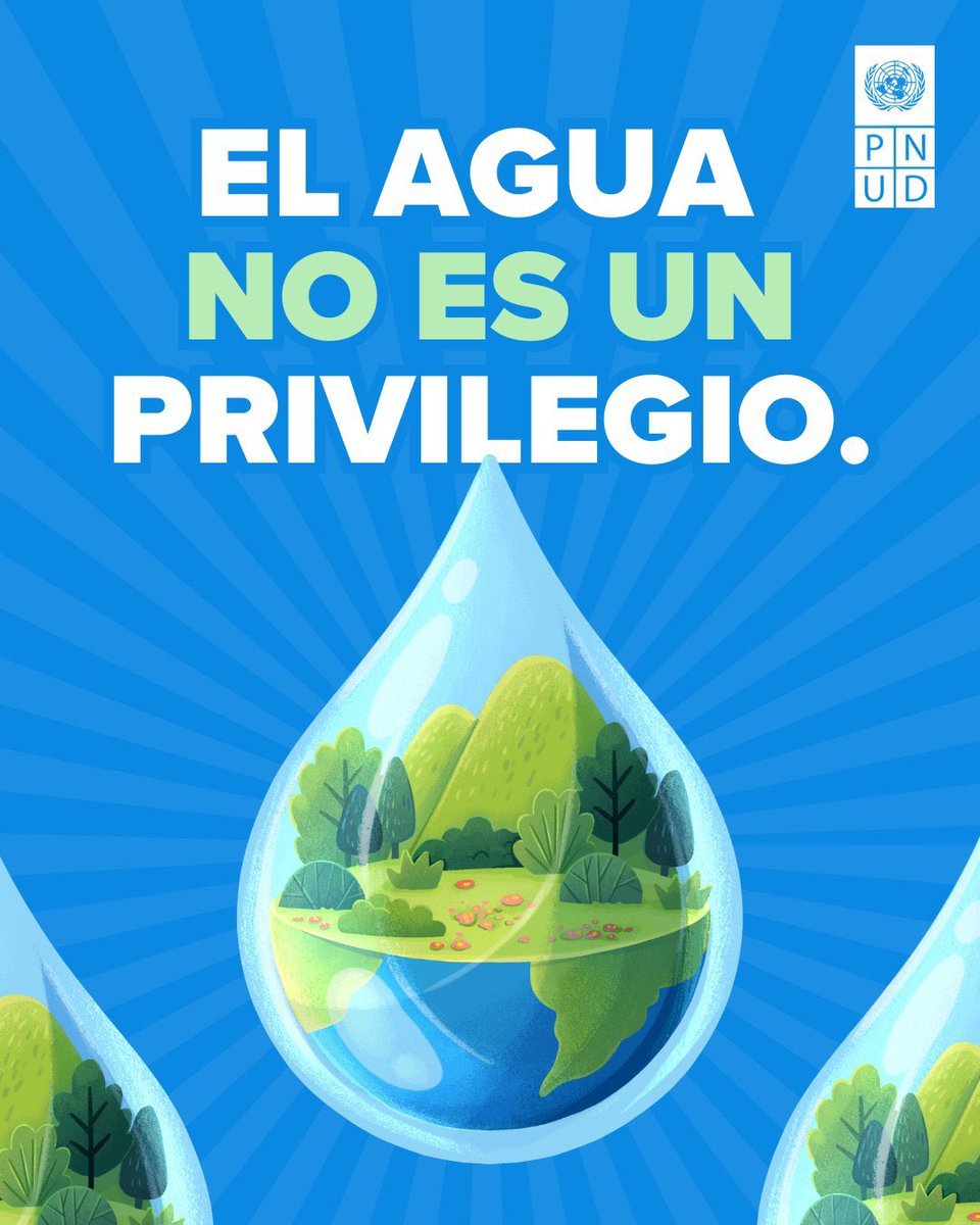 ONU Desarrollo tweet media