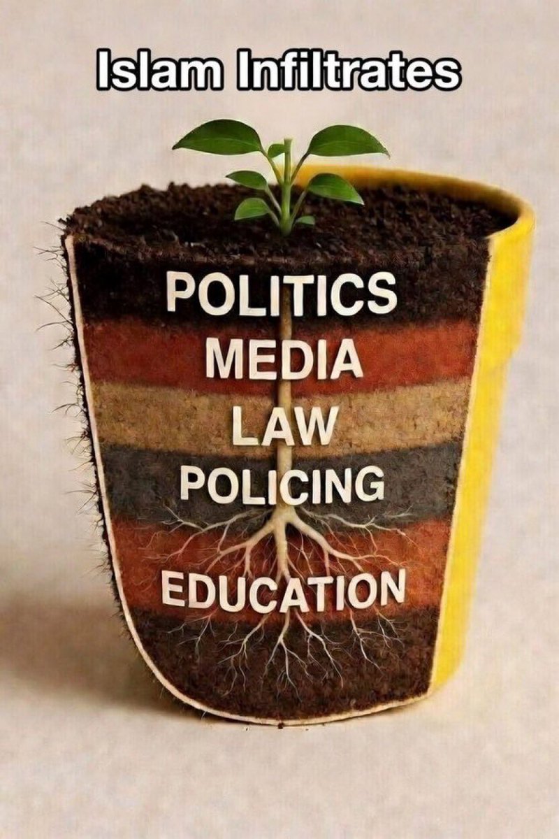 GRANDPA’s FREE ADVICE tweet media