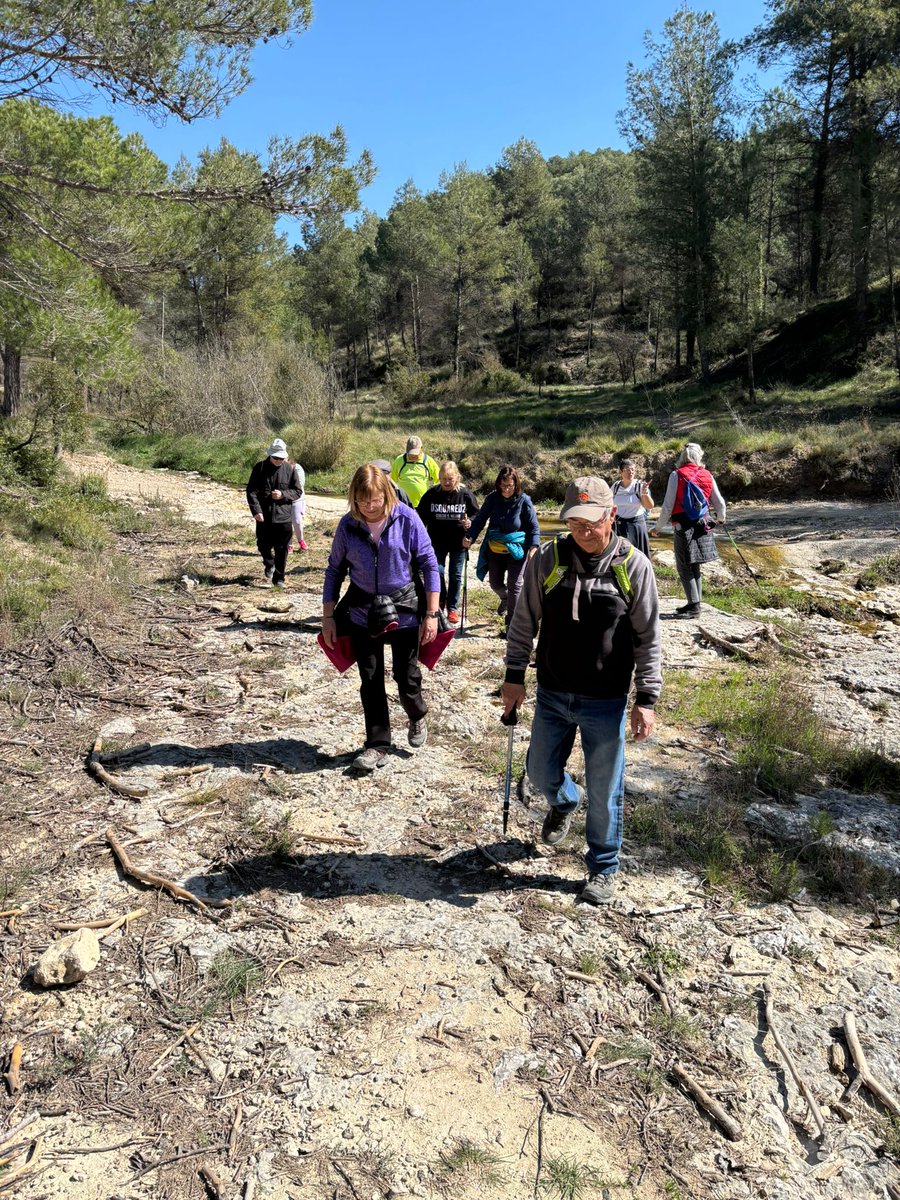 castelloli's tweet image. 🚶‍♀️ Avui hem gaudit d’una gran caminada de 8,3 km passant per Can Tardà i els ninots! 🌳✨

T'esperem a la pròxima! 💚

#Caminada #Castellolí