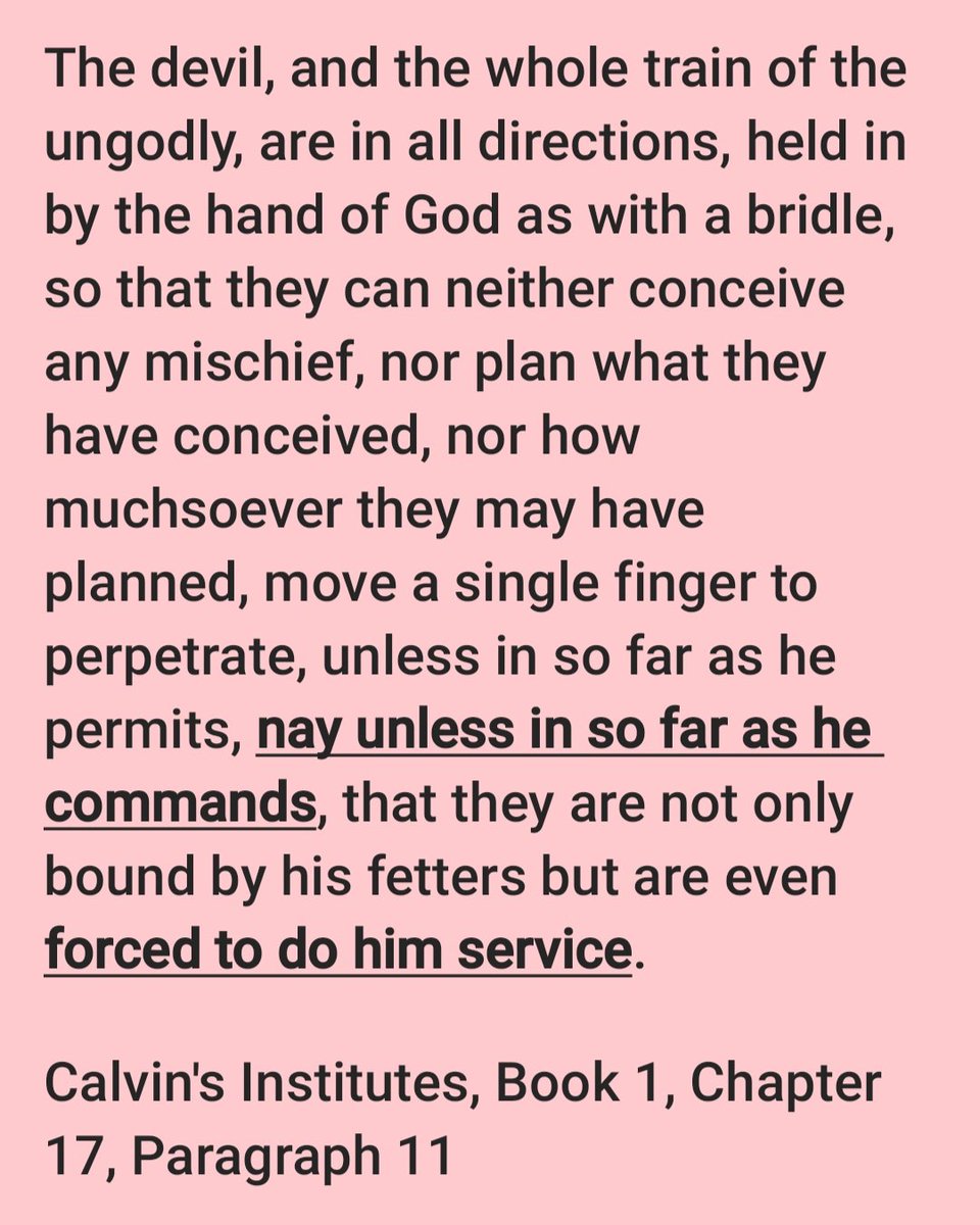 𝗚𝗘𝗡𝗢 𝗔 tweet media