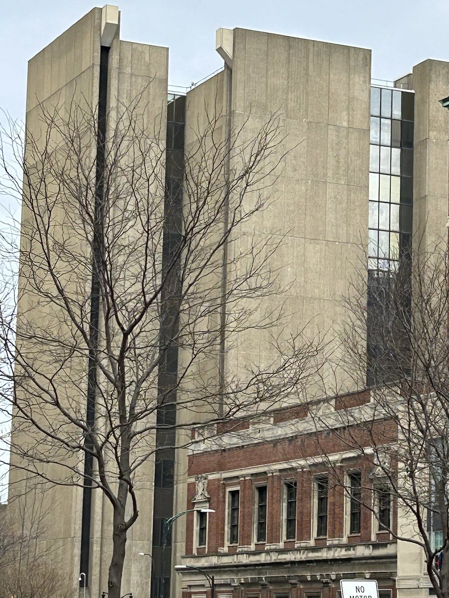 Michael Willemse tweet media